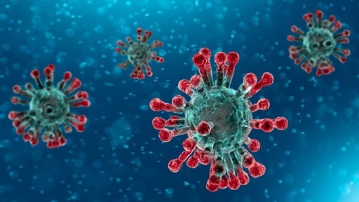 CORONAVIRUS, SALVINI E RENZI IN QUARANTENA