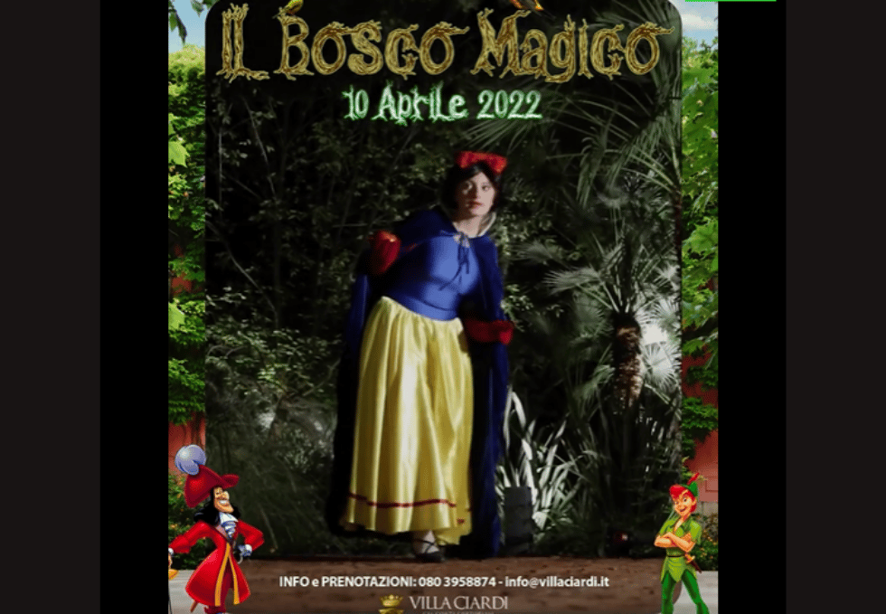 Il bosco magico