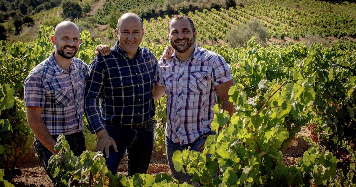  CANTINE DI NEONELI ALLA XVII EDIZIONE DI VINIVERI