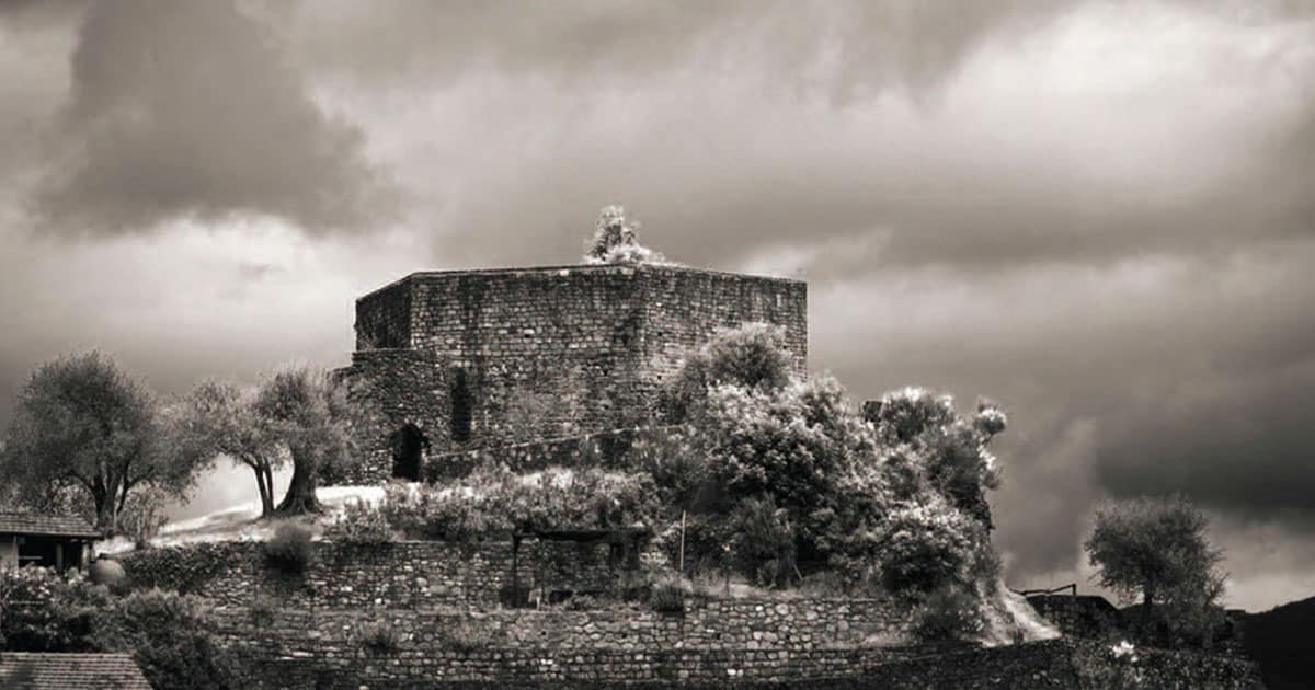 LA TORRE DI DANTE DI ORAZIO OLIVIERI
