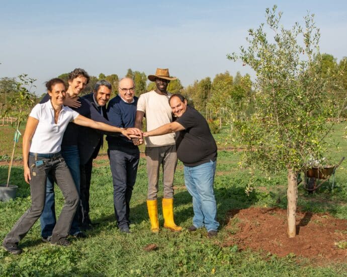 trenta alberi per la solidarietà, trenta alberi per la sostenibilità