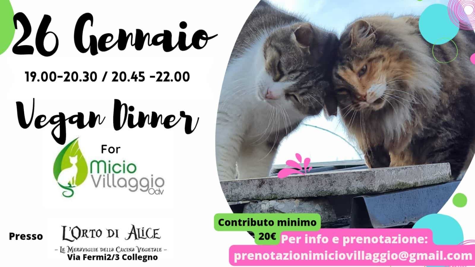 APERICENA PER IL MICIOVILLAGGIO!