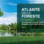 atlante foreste