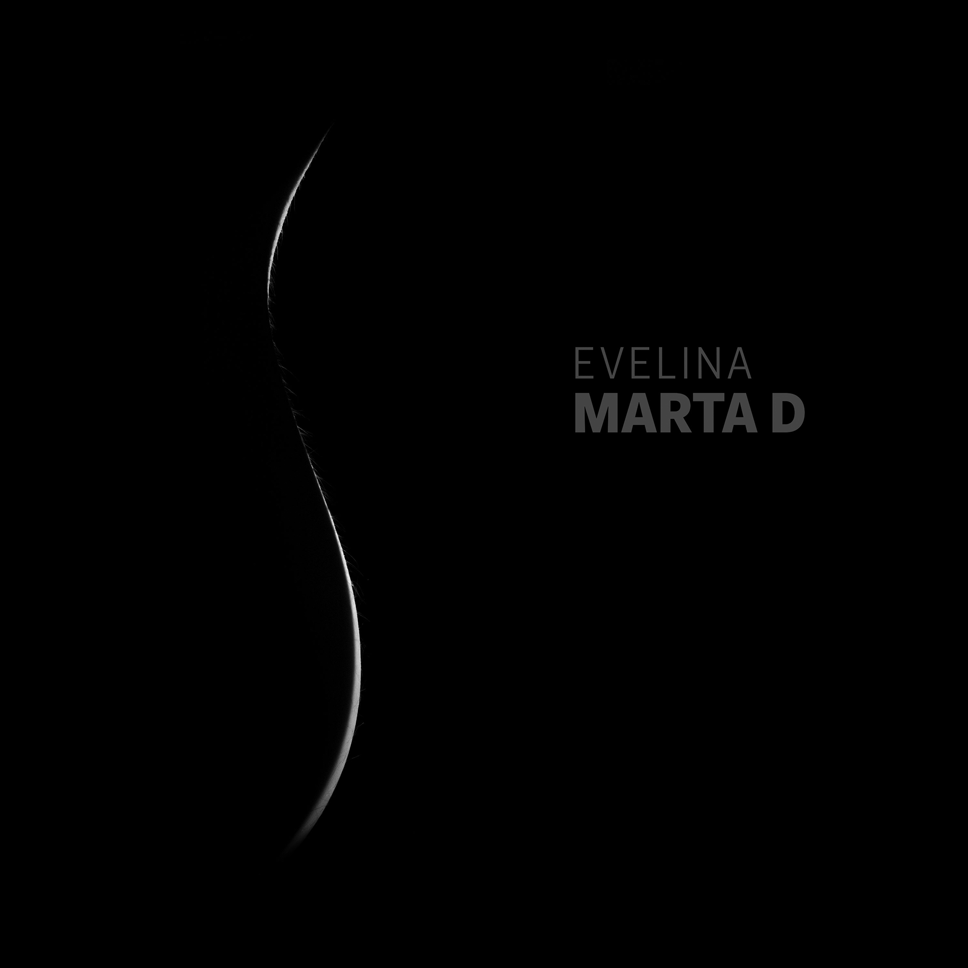  Esce il primo singolo di Evelina